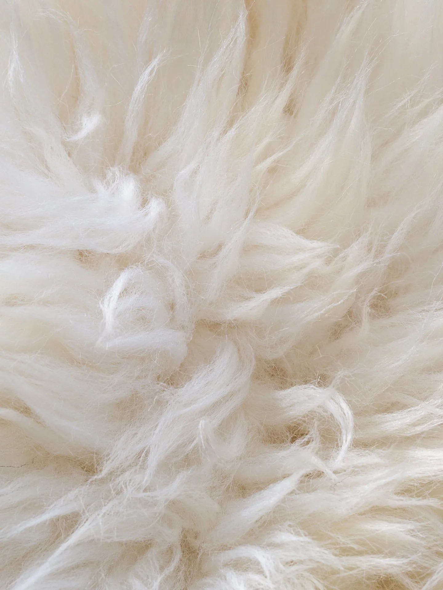 Cashmere Bone Pet Pillow