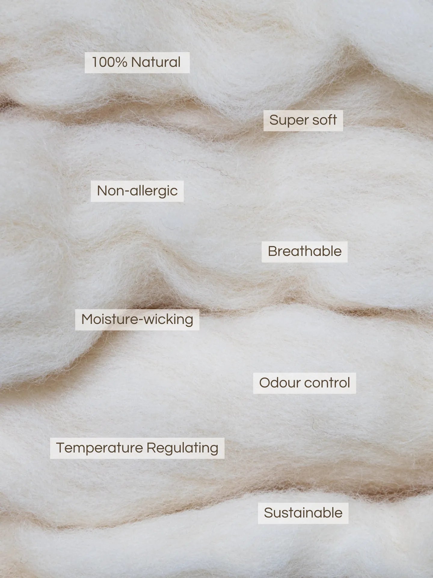 Cashmere Bone Pet Pillow