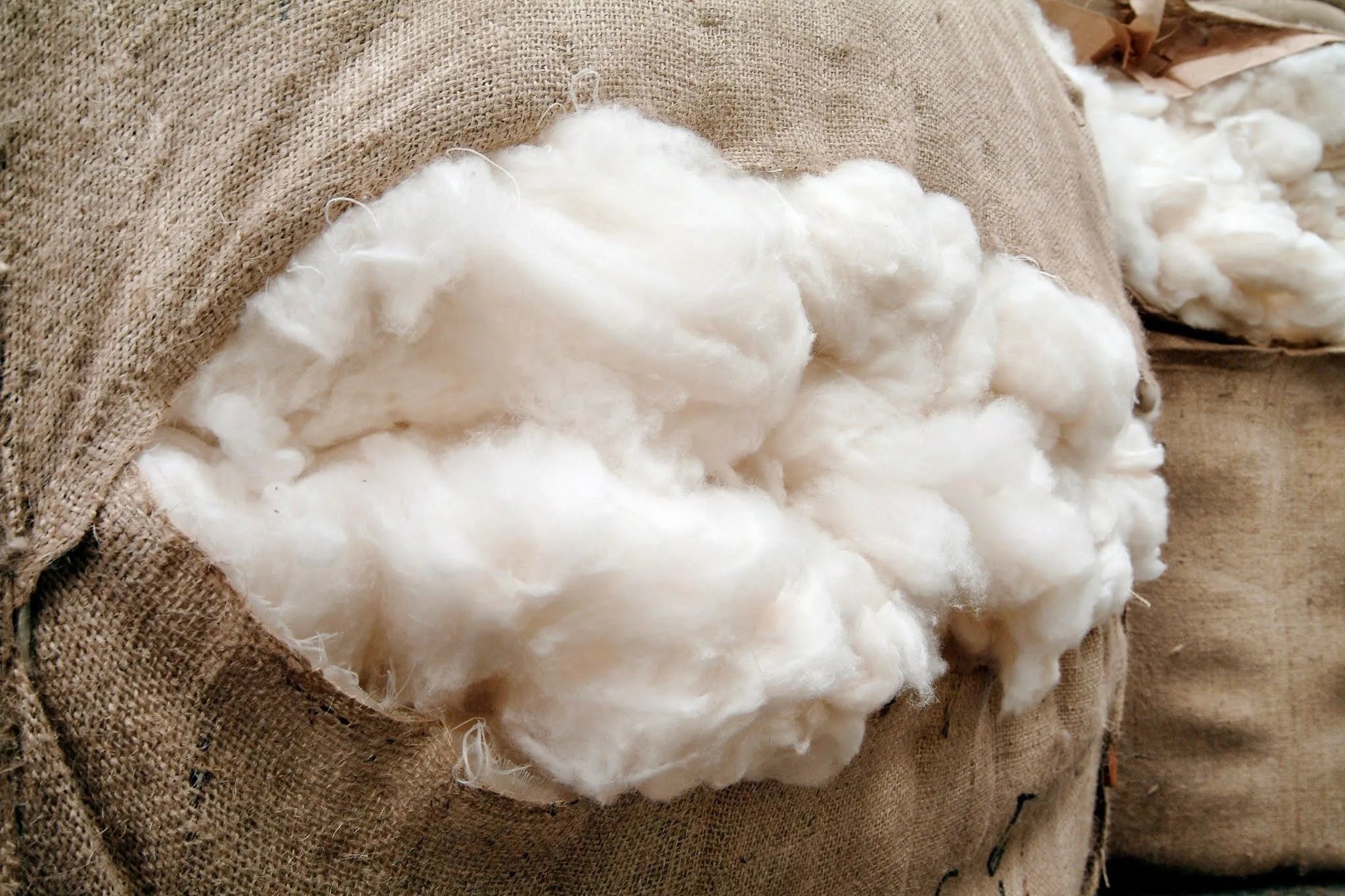 Bale of cashmere wool in the sack.