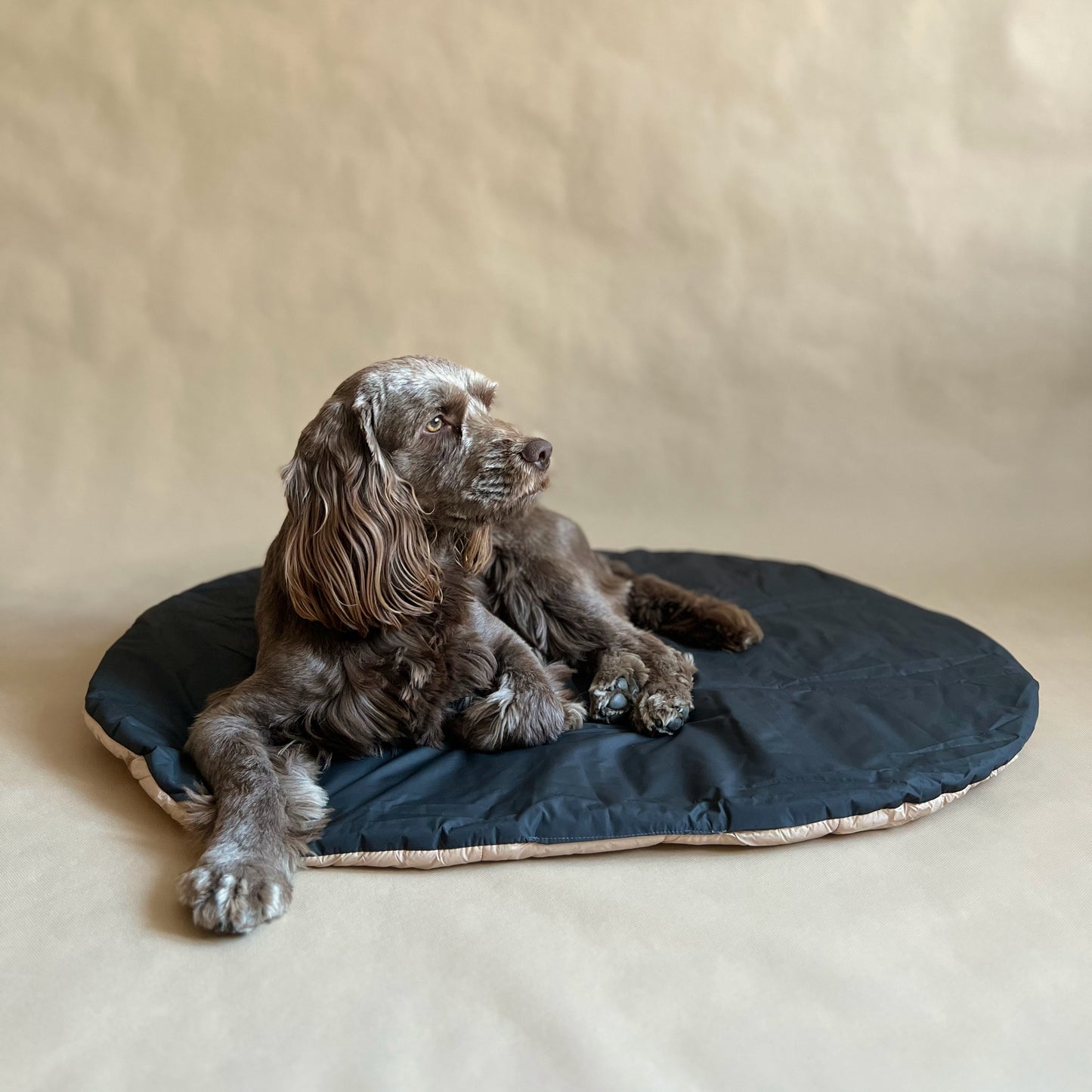 O' Pet Travel Blanket