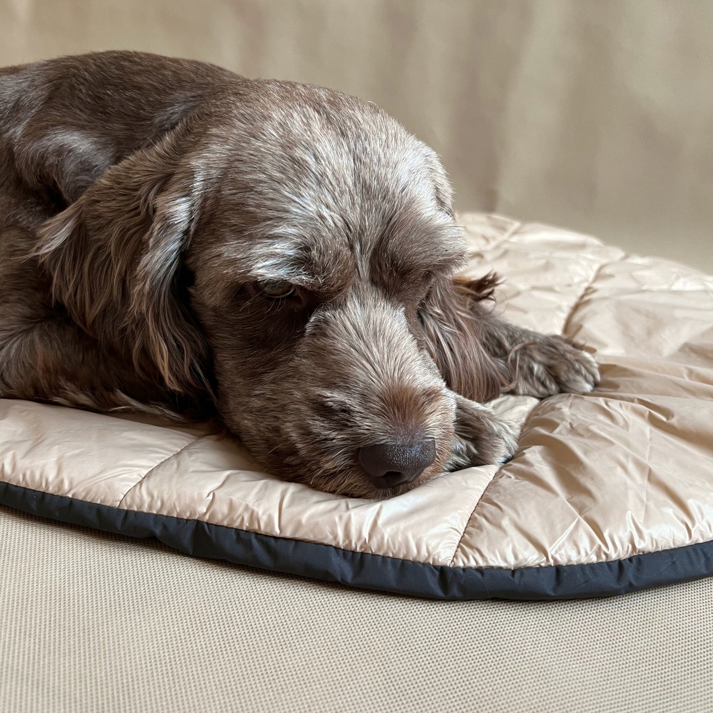 O' Pet Travel Blanket