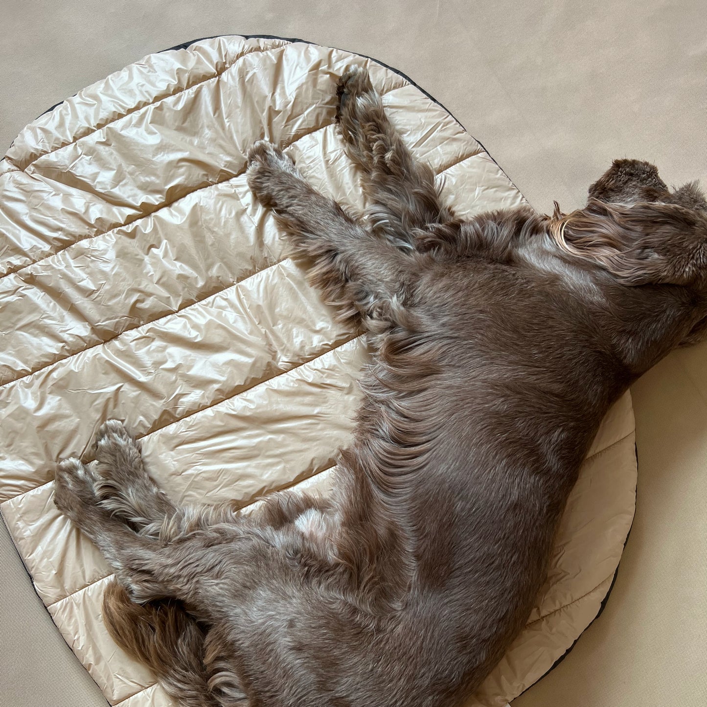 O' Pet Travel Blanket