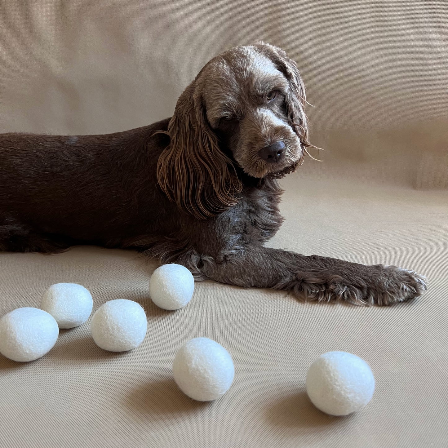 Wool Sheep Trio Balls