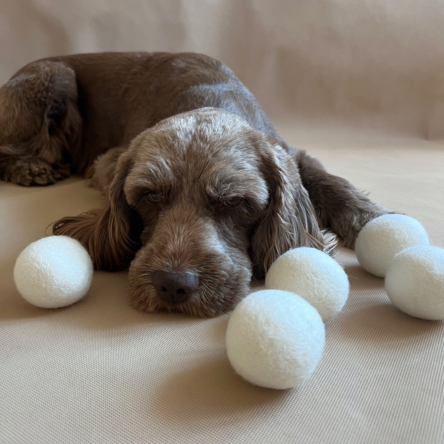 Wool Sheep Trio Balls