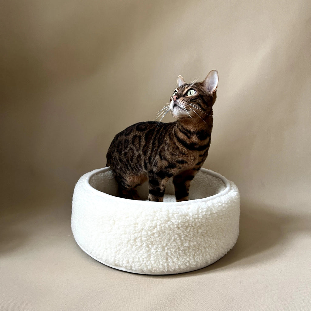 Wool Sheep Bouclé Pet Bed with soft, textured fabric and cushioned interior for pets.