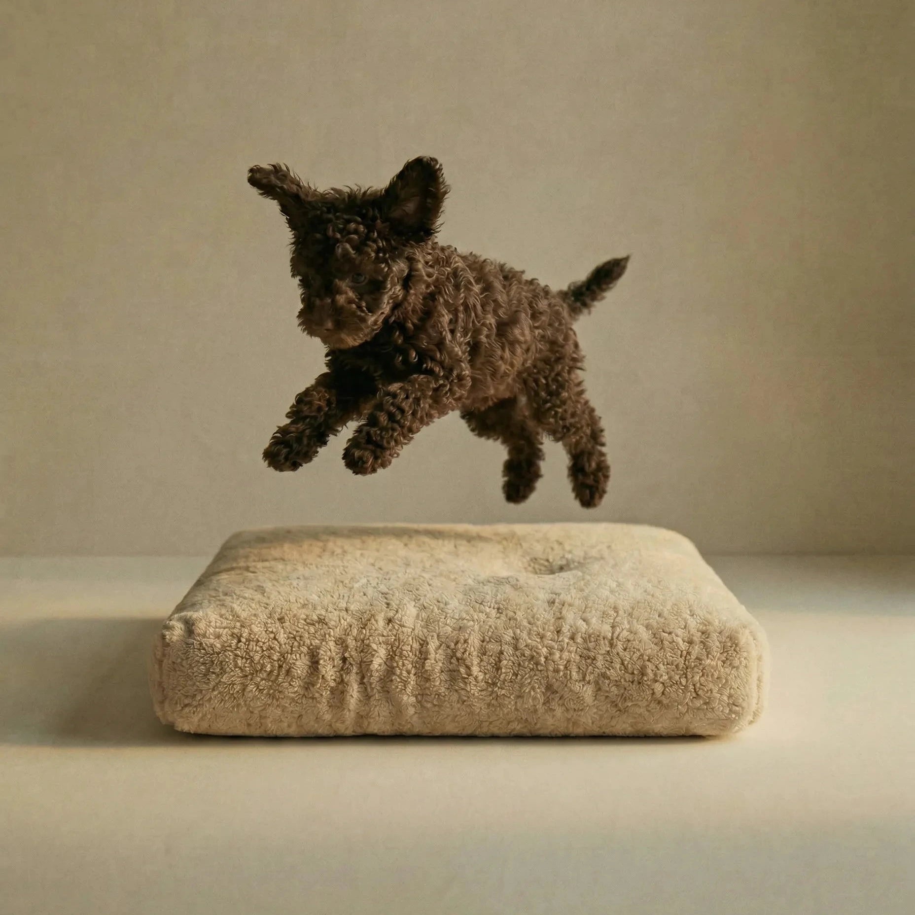 Dog jumping off a beige 'Wool Lounge Boucle Pet Bed' against a plain background.