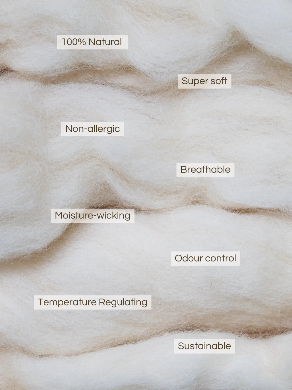 Cashmere Pet Plush Blanket