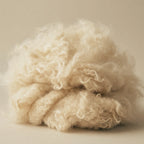 A wool pile, likely sheep's wool fleece, photographed against a solid, warm beige background.