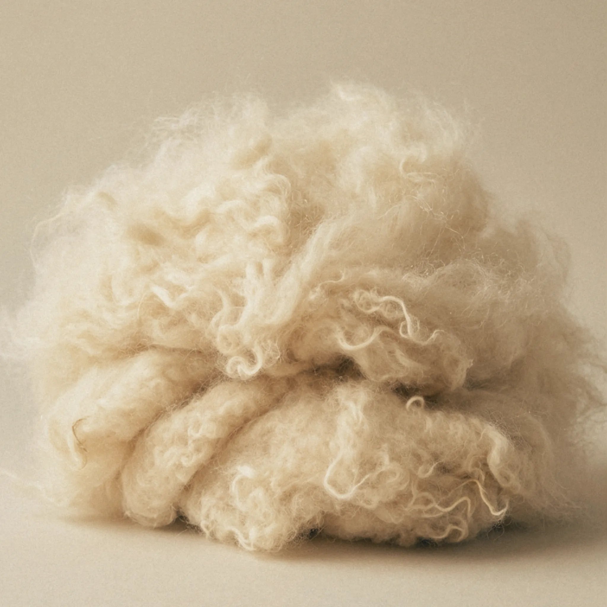 A wool pile, likely sheep's wool fleece, photographed against a solid, warm beige background.