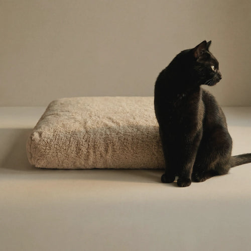 A black cat sits beside a rectangular beige textured pet bed against a plain warm beige studio background.